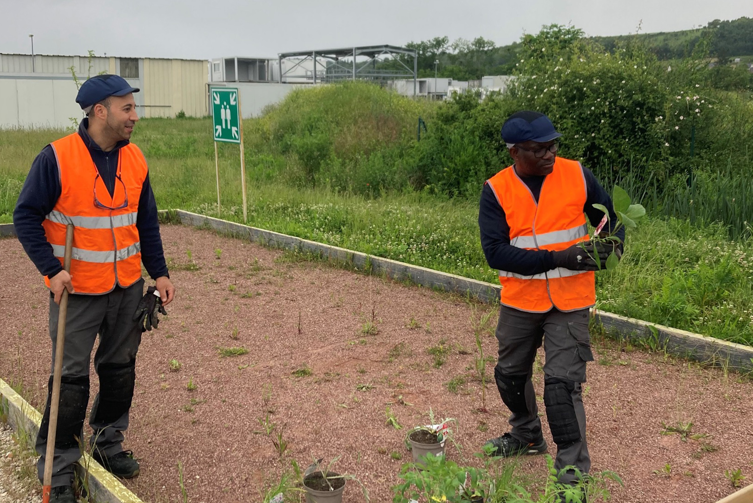 ouvriers portant des gilets de sécurité orange travaillant des plantations à l'extérieur