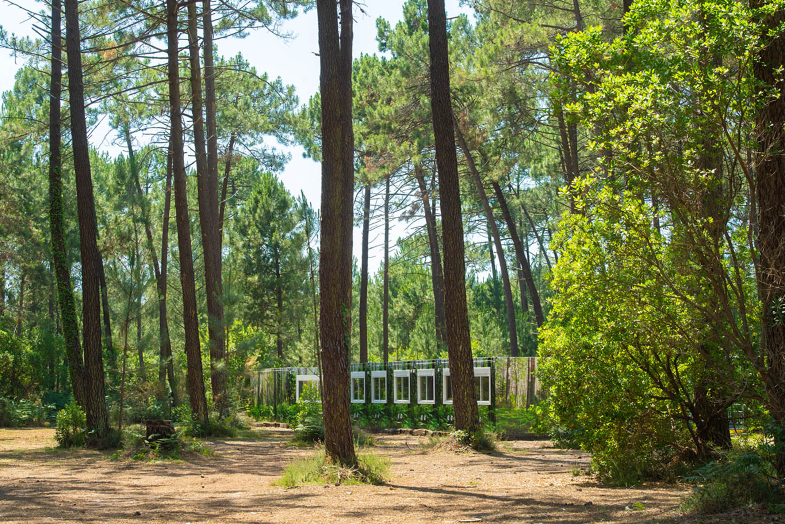 vue éloignée du complexe de logements modulaires ALGECO® temporaire avec façade en trompe l’œil dans une forêt d’Arès (Bassin d’Arcachon)