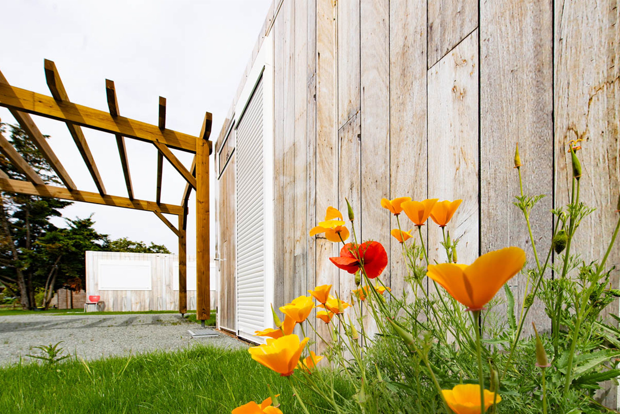 Fleurs au pied d’un studio modulaire ALGECO® en bois avec pergola à Villenave-d’Ornon