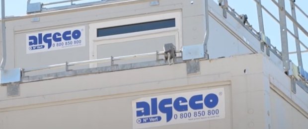 Services 360