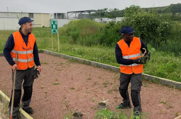 ouvriers portant des gilets de sécurité orange travaillant des plantations à l'extérieur