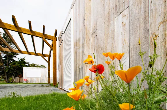 Fleurs au pied d’un studio modulaire ALGECO® en bois avec pergola à Villenave-d’Ornon